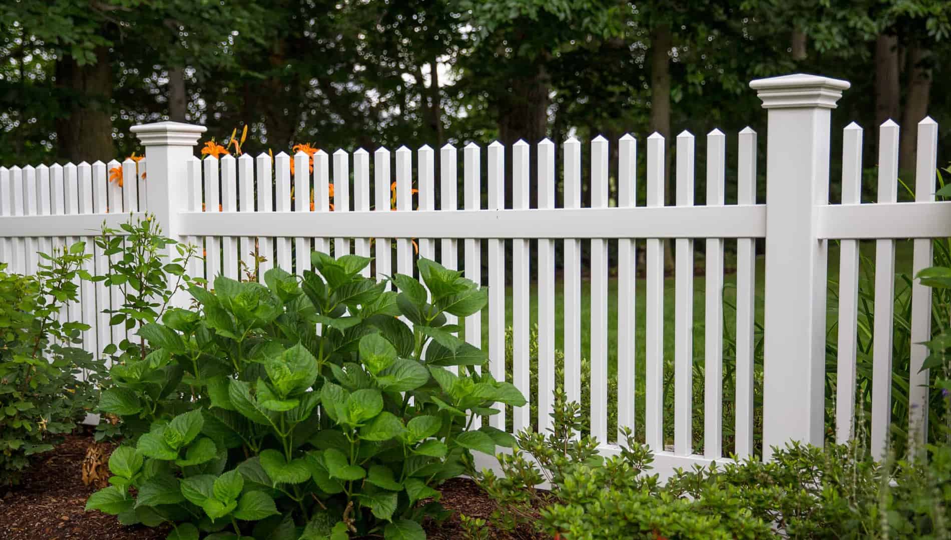 White picket fence with green plants in front and trees in the background.