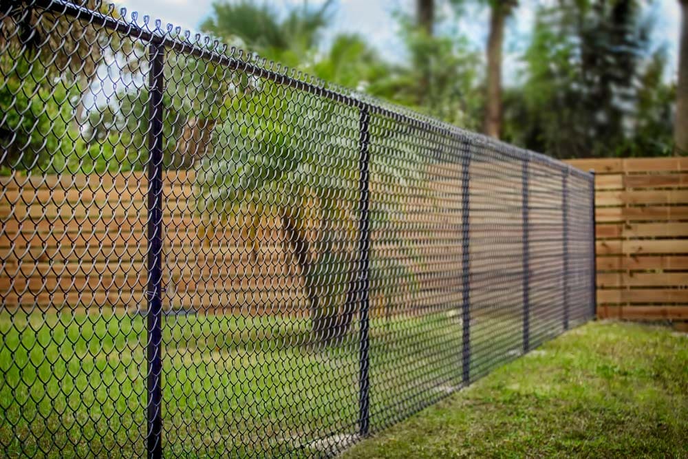 A black chain-link fence enclosing a grassy yard with trees.