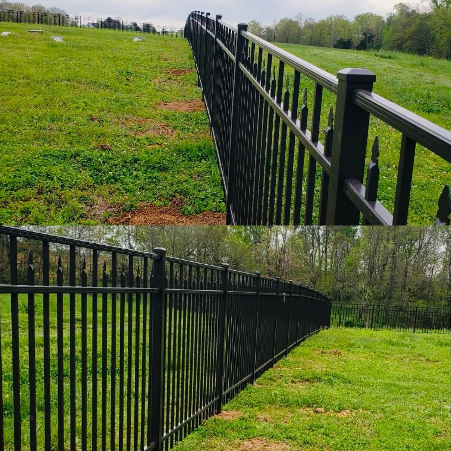 A black metal fence dividing two grassy fields on a sunny day.