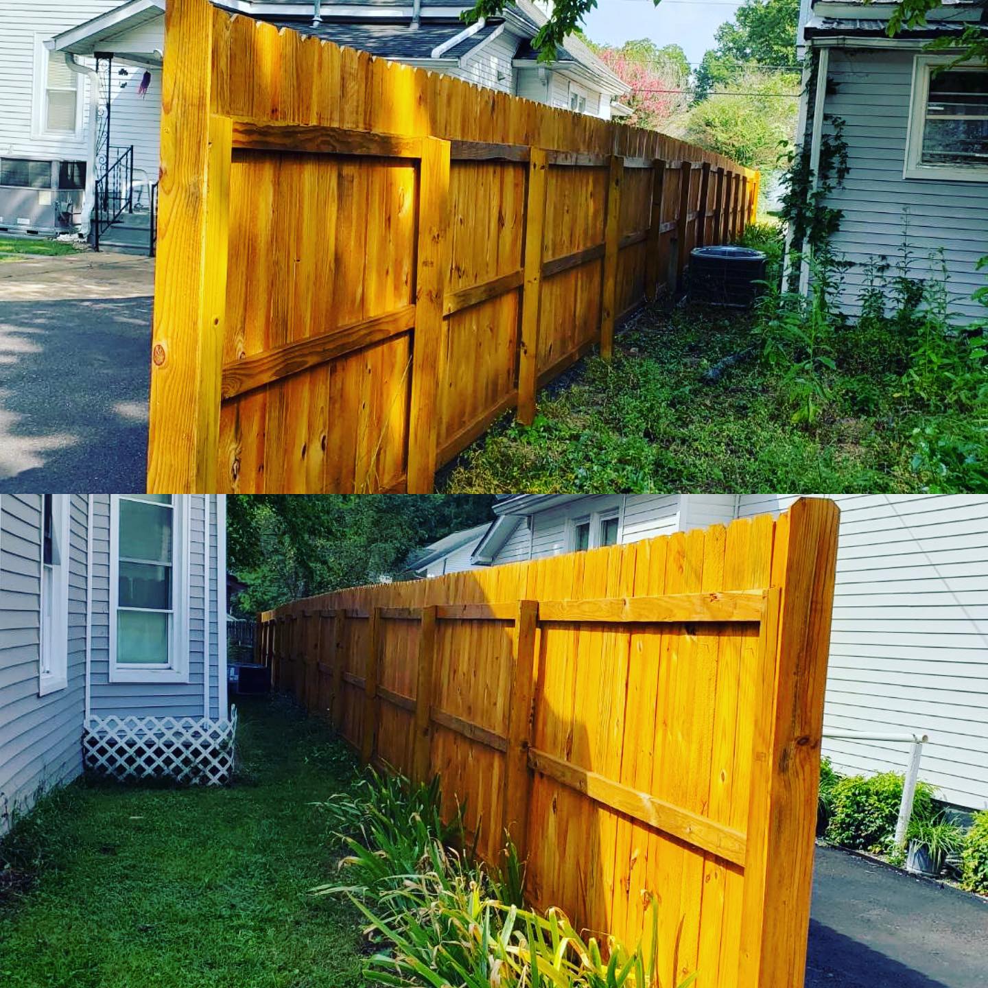 Freshly painted wooden fence glowing in sunlight beside houses.